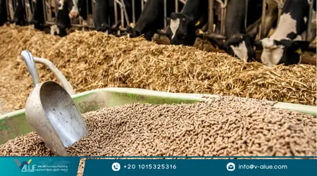 دراسة جدوى إنشاء مصنع أعلاف متكامل دراسة جدوى إنشاء مصنع أعلاف متكامل