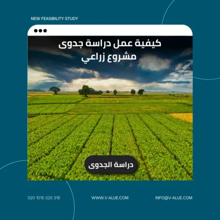 كيفية عمل دراسة جدوى مشروع زراعي
