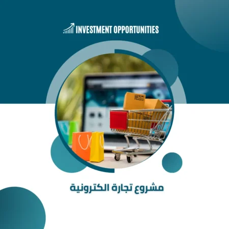 دراسة جدوى مشروع تجارة الكترونية