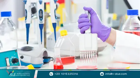 دراسة جدوى مختبر طبي دراسة جدوى مختبر طبي