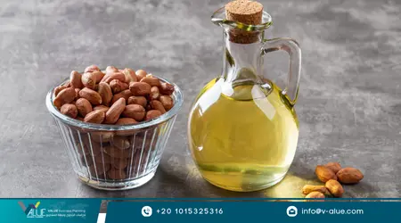 دراسة جدوى مشروع معصرة زيت الفول السوداني دراسة جدوى مشروع معصرة زيت الفول السوداني