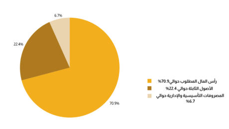 دراسة جدوى مشروع مصنع صابون سائل دراسة جدوى مشروع مصنع صابون سائل