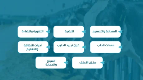 دراسة جدوى مشروع تربية الابقار الحلوب