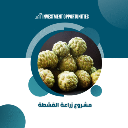 دراسة جدوى زراعة القشطة​