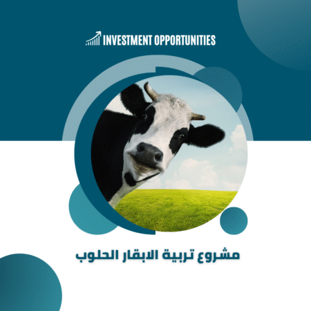 دراسة جدوى مشروع تربية الابقار الحلوب