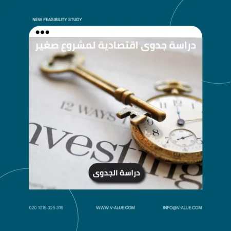 دراسة جدوى اقتصادية لمشروع صغير